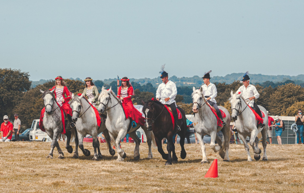 Journée du cheval Percheron