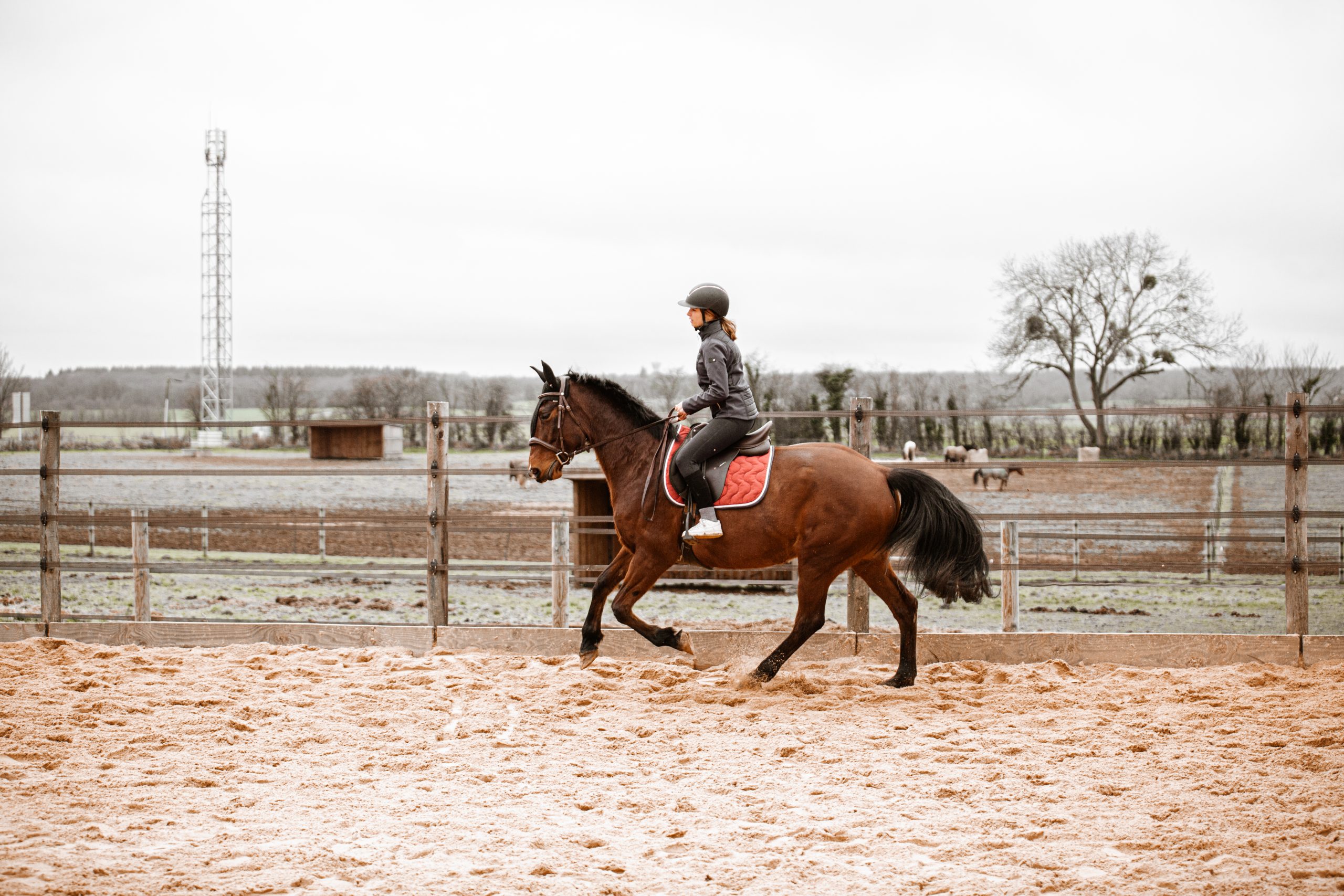 PRESTATION ESPRIT CHEVALEX