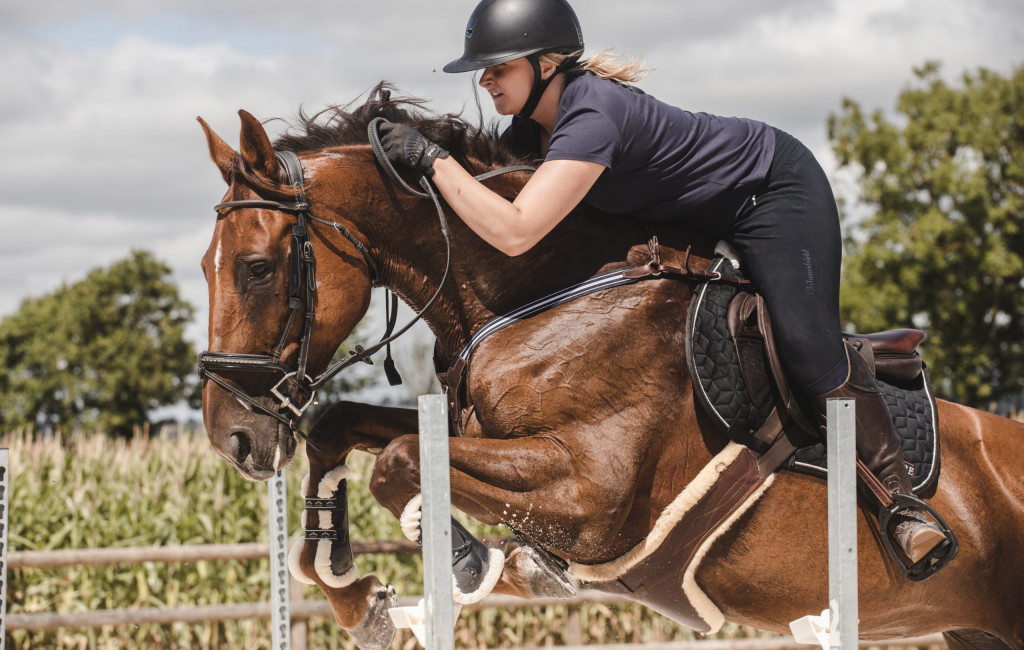 Prestation Stage de Saut n°1 août 2022 | Haras d’InLove